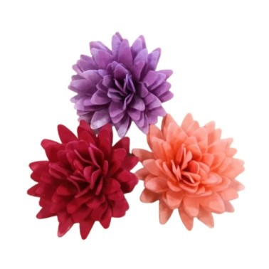 Aster mix colori 3 colori 18 pezzi fiori in cialda - Terezie Jirsova in vendita su Sugarmania.it
