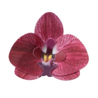 Orchidea bordeaux 10 pezzi fiore in cialda - Terezie Jirsova in vendita su Sugarmania.it
