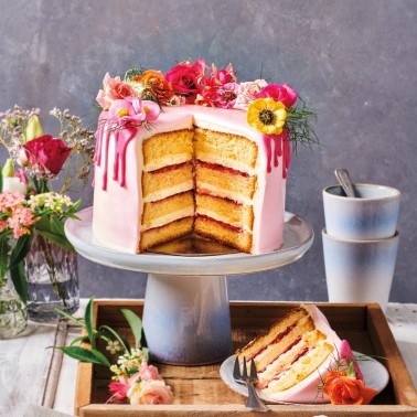 Mélange pour le gâteau de Delux Sponge 1 kg Funcakes