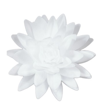 Aster bianca 12,5 cm fiore in cialda