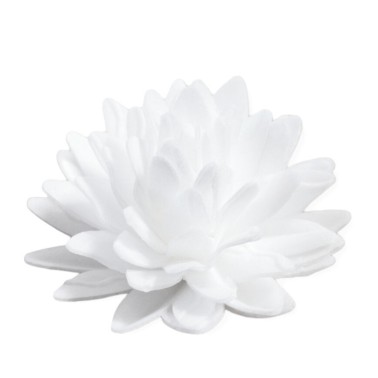 White Aster 18 pieces Flowers in a wafer