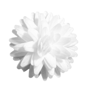 Fiore fantasia bianco 12 pezzi in cialda