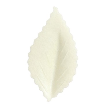 Ivory wafer leaf 100 pieces 
