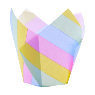 Rainbow tulip tulip pirottini 24 pieces PME