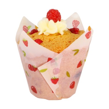 Raspberry Tulip Pirottini 24 ks PME