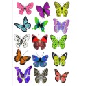 Farfalle in wafer paper multicolore formato A4 -  in vendita su Sugarmania.it
