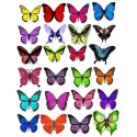 Farfalle in wafer paper multicolore 1 formato A4 -  in vendita su Sugarmania.it