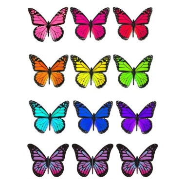 Farfalle grandi in wafer paper multicolore formato A4 -  in vendita su Sugarmania.it