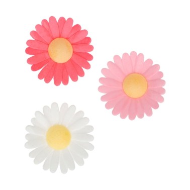 Flowers in edible waffle daisies 13 pieces