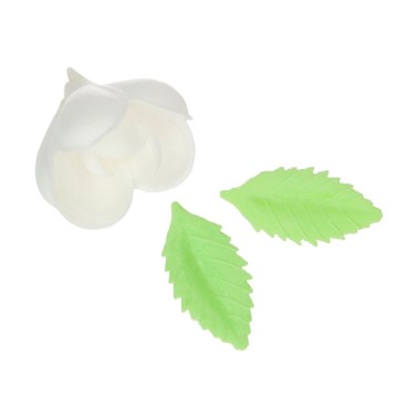 Flowers in edible pest tulip and leaves 12 pieces