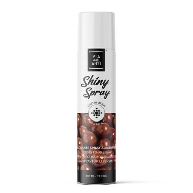 Shiny spray food polish 400ml