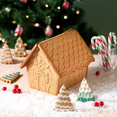 Impression cutting cookets Gingerbread house 3 pieces PME