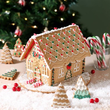 Impression cutting cookets Gingerbread house 3 pieces PME