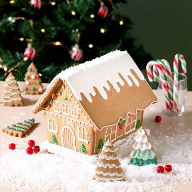 Impression cutting cookets Gingerbread house 3 pieces PME