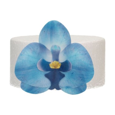 Fiore di cialda deluxe orchidea blu 10 pezzi