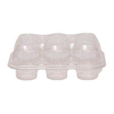 3 transparent containers for cupcake 6 cavities