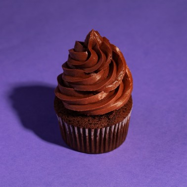 Poudre préparée pour la crème au chocolat de 450g PME