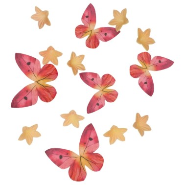 Papillons et fleurs situés en nuisible orange rose 30 pièces Wilton