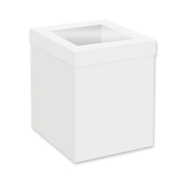 Set 25 scatole bianche con finestra 35x35x30cm