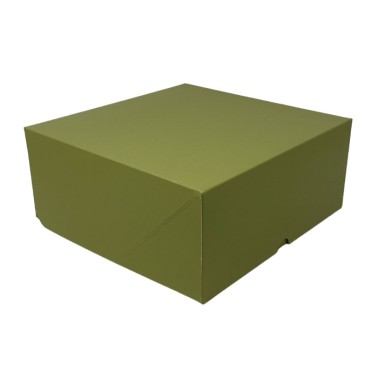 Cake box 40x40x10 cm pistácie