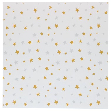 50 Blatt Pergamentpapier 25 x 25 cm Sterne Gold und Silber für Bento-Kuchen