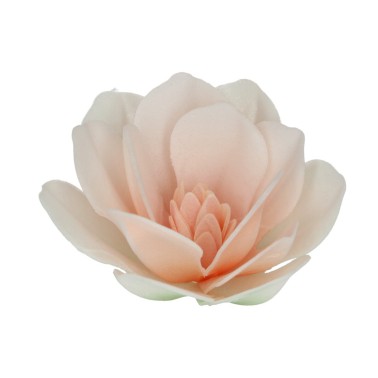 Deluxe edible pod flowers Large white magnolia 6 pcs funcakes