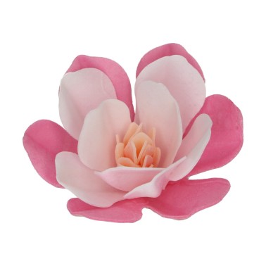 Flowers in edible waffle Deluxe magnolia pink big 6 pcs funcakes