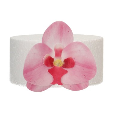 Flowers in edible waffle deluxe pink orchid media 10 pcs funcakes