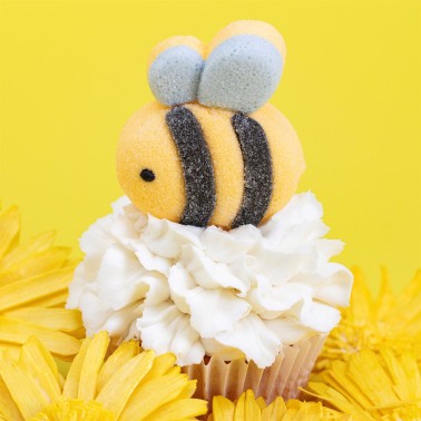 Marshmallow API 12 PCs PME