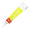 Modecor Color Gel 20G Giallo Limone - Modecor in vendita su Sugarmania.it