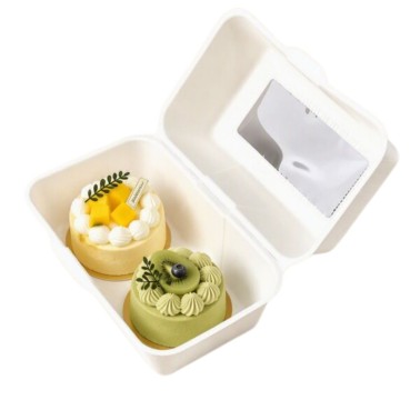 Binding Box mit rechteckigem Fenster 20 x 12 x 10 cm