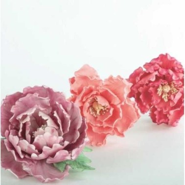 Kit stampo peonia Decora 7 pezzi - Decora in vendita su Sugarmania.it