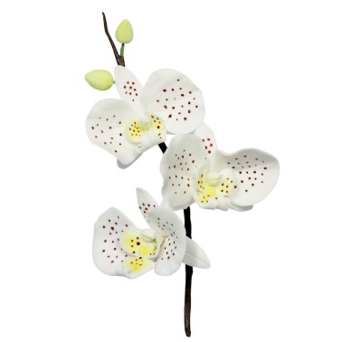 Cutter orchidea Moth Pme 3 pezzi - PME in vendita su Sugarmania.it